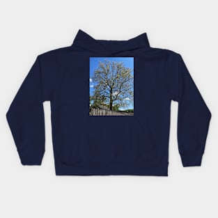 Majestic Old Tree in Springtime Kids Hoodie